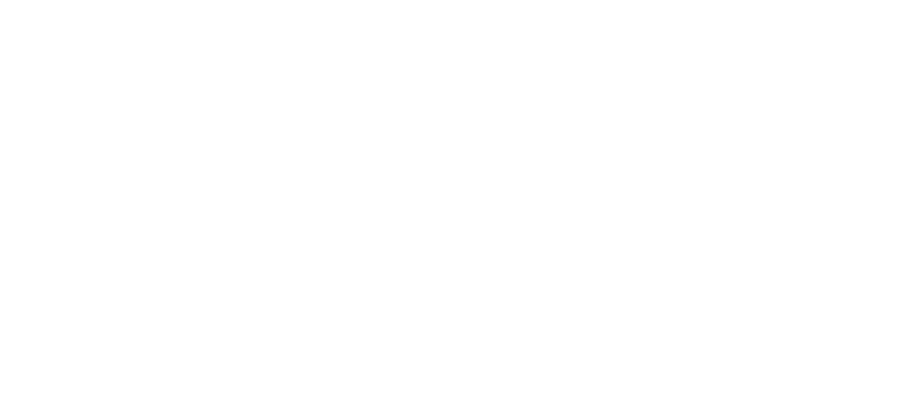 Assassin Knives